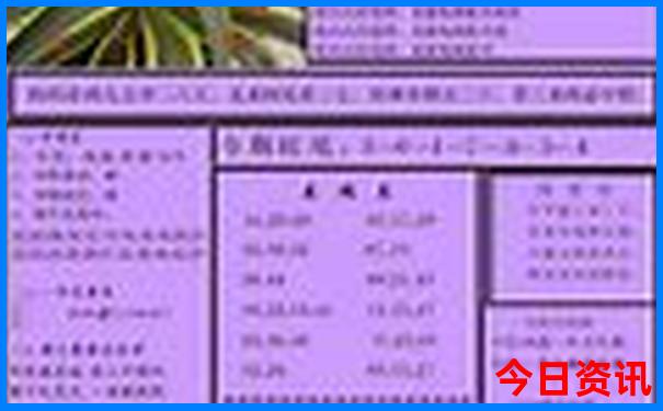 金光佛四肖中特免费资料大全
